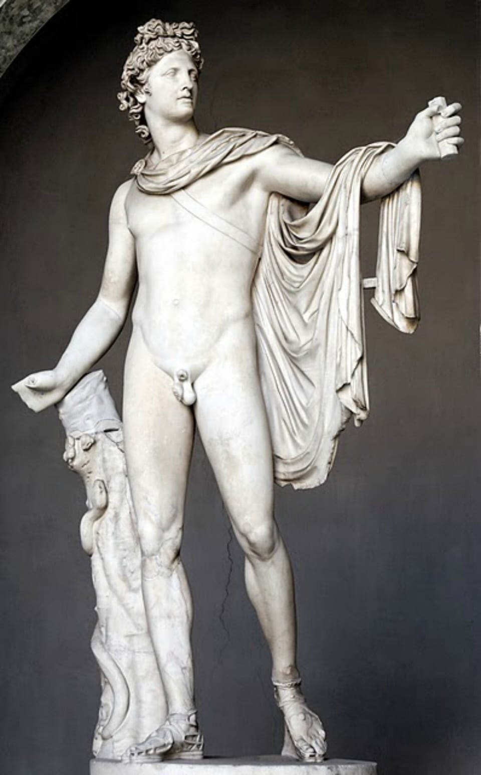 Apollo of the Belvedere (Vatican Museums)