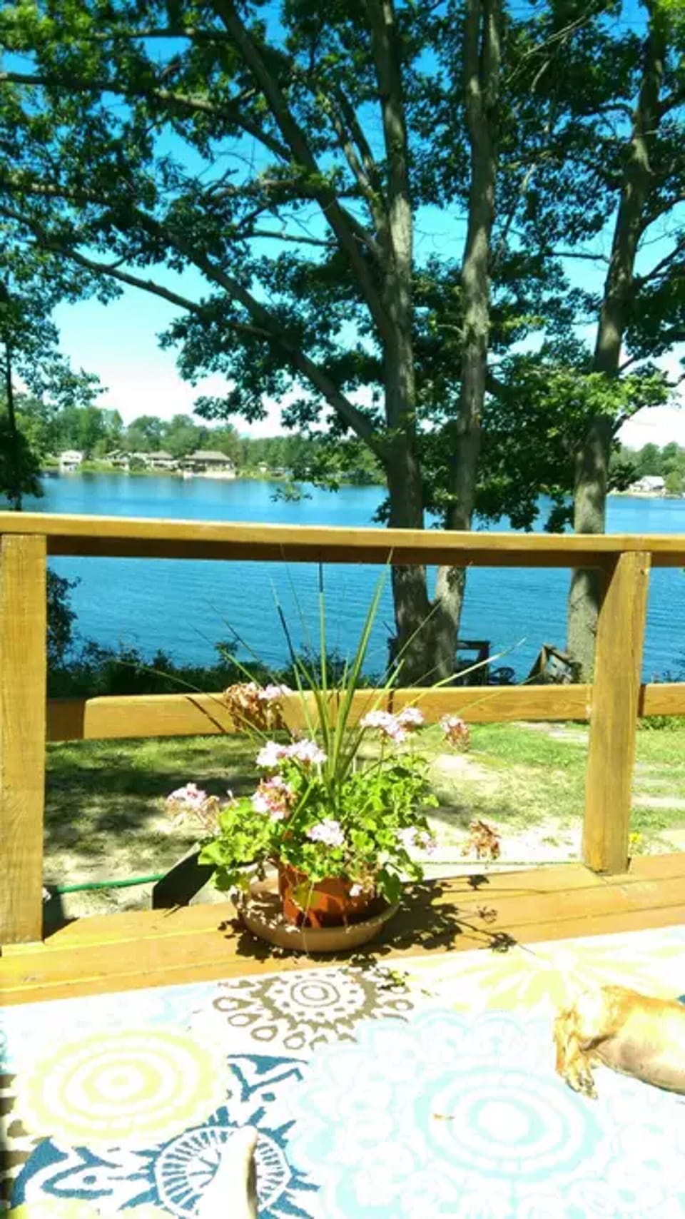 View from the deck
