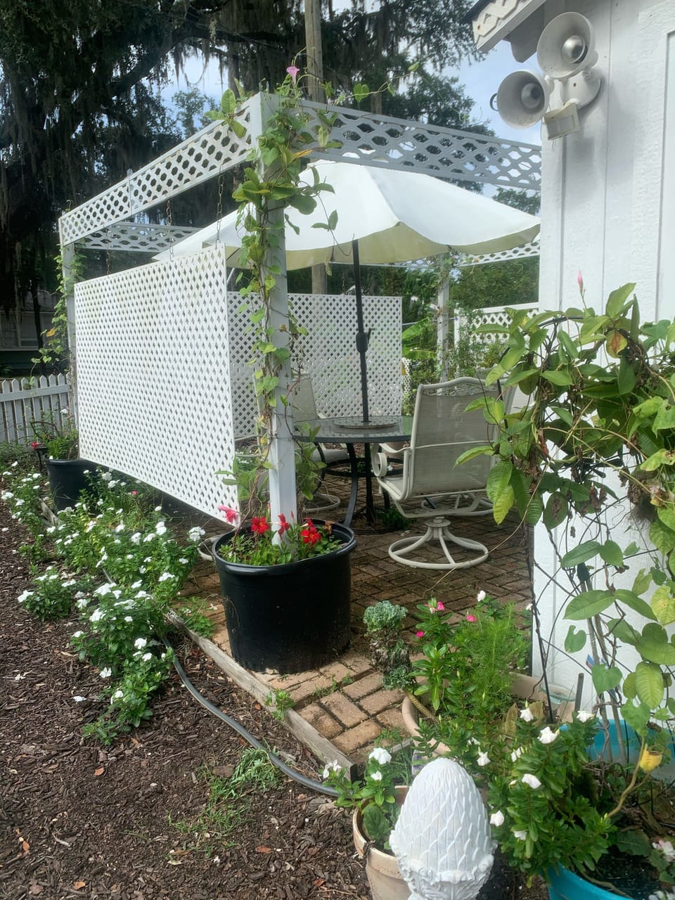 Your Private outdoor dining area
