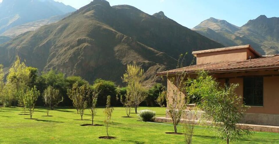 Andes Mountains view