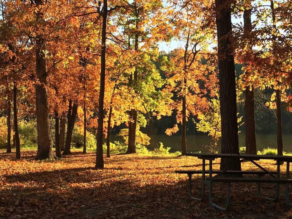 Lake Murphysboro is just one of the many parks in the area that are perfect for picnics, hiking, canoeing and playtime!