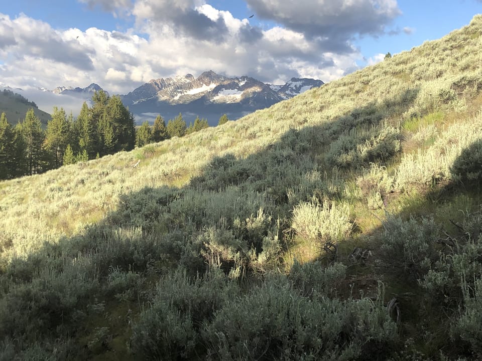 Hillside to the right of the cabin with unobstructed views