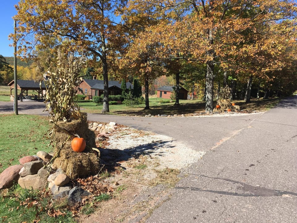 Driveway during the Fall. 