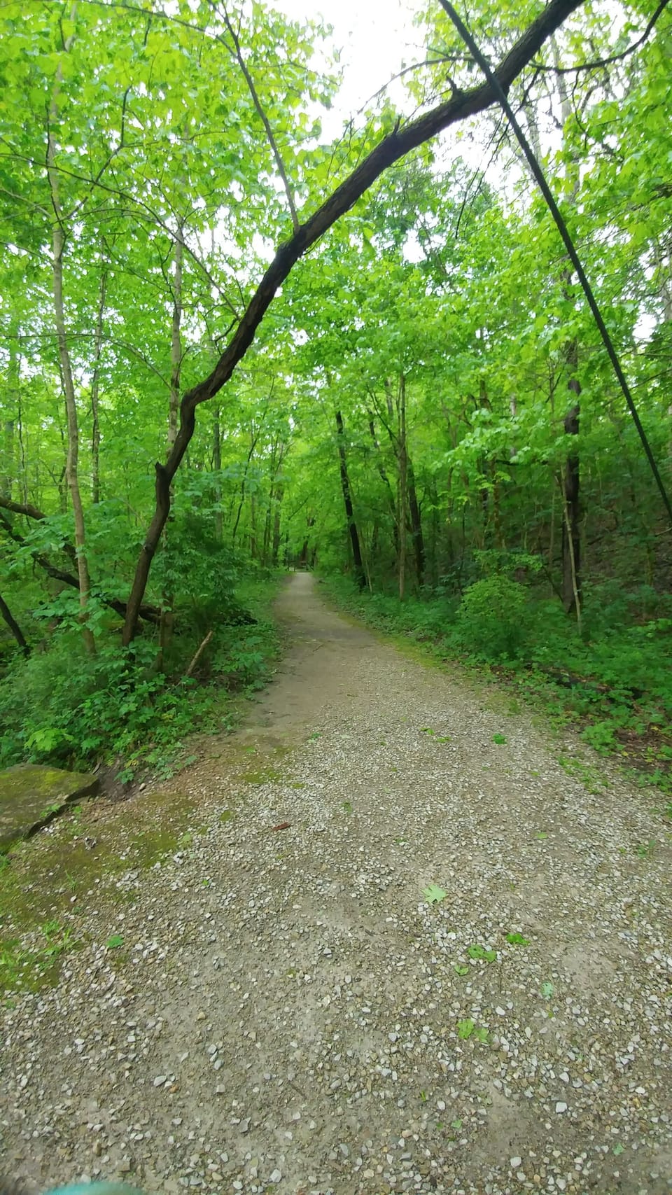 Cross Mound Park mile hiking loop