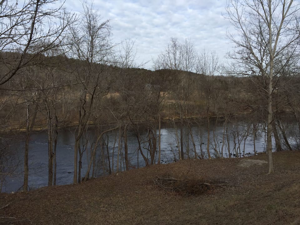 The view of the river