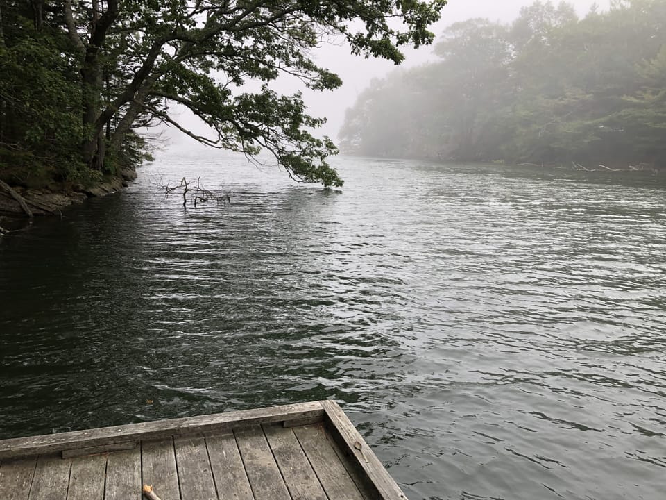 Foggy day at high tide