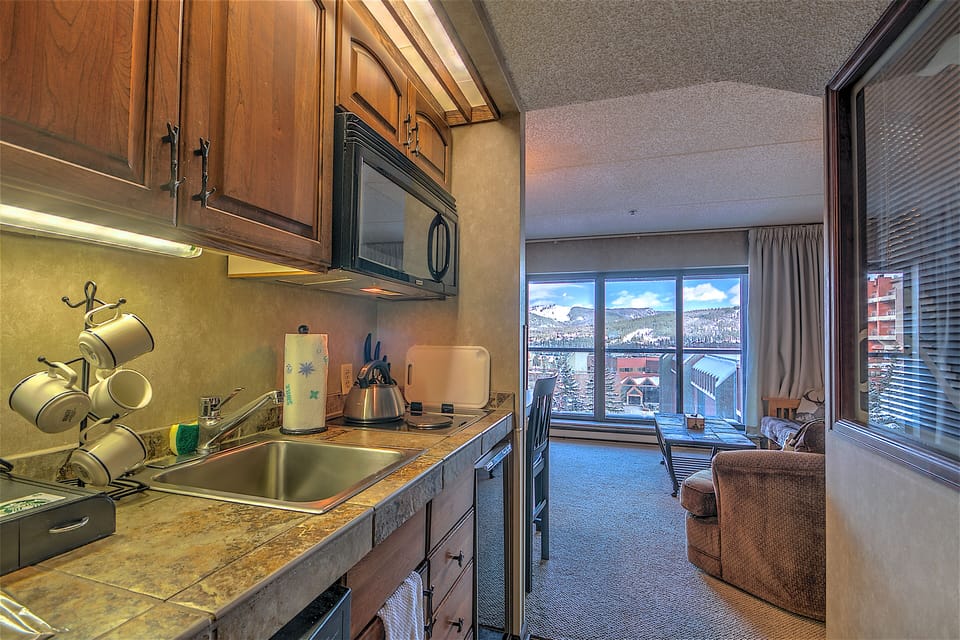 Kitchenette with stovetop and microwave. New faucet installed .