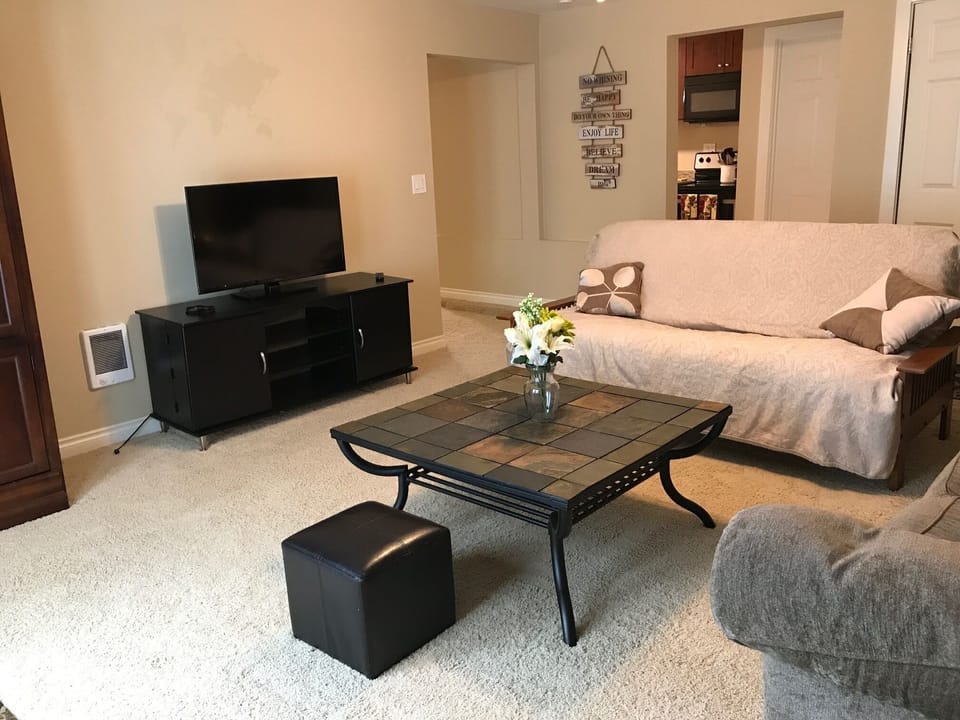 Living room with TV (computer access) and futon for extra sleeping