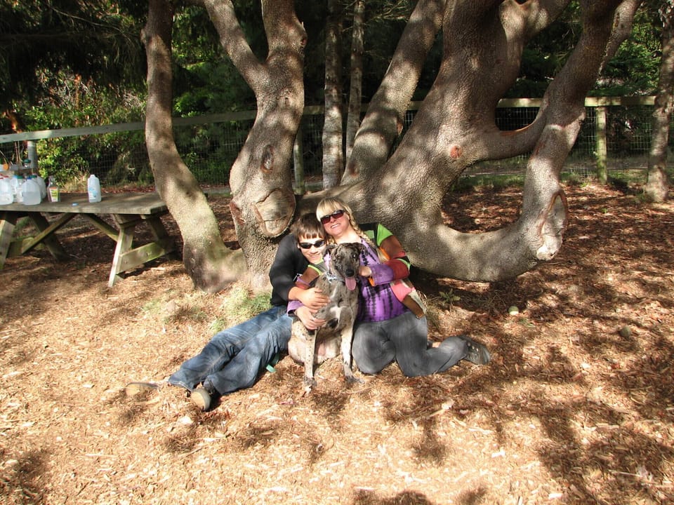 Visiting the dog park
