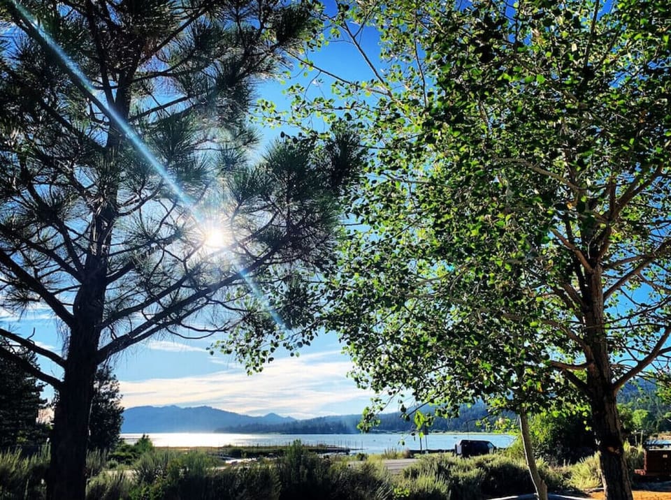 Summertime Lake Views