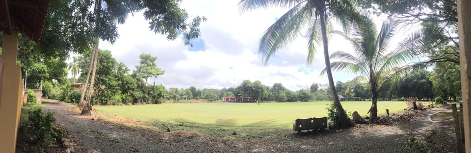 Soccer field at front gate