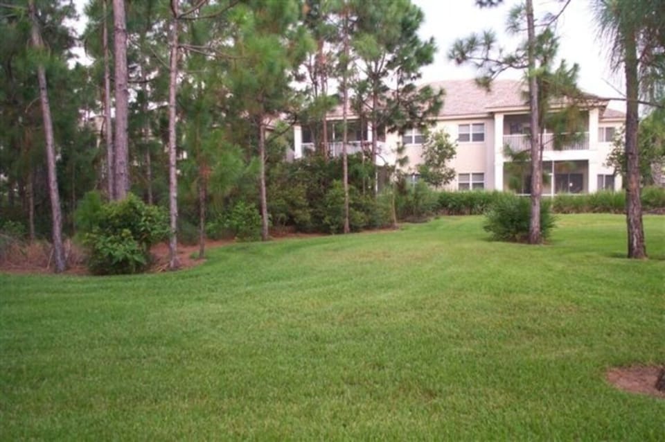 Backyard area