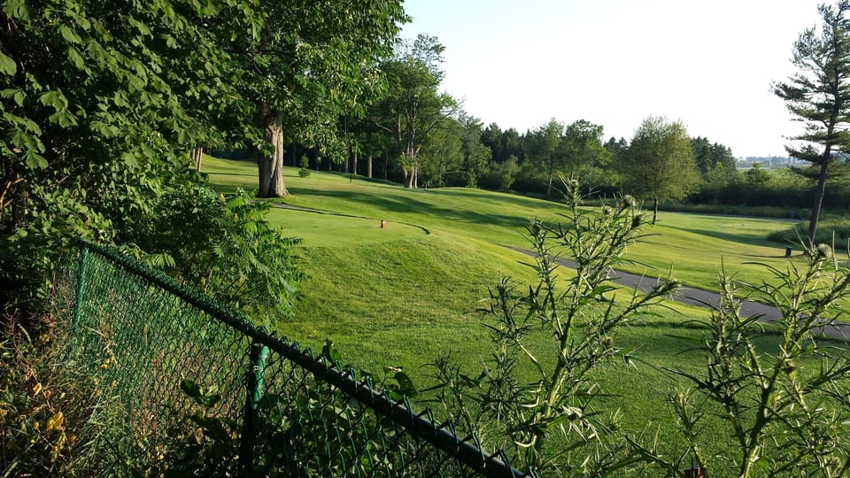 Golf