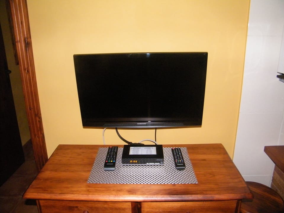 Television