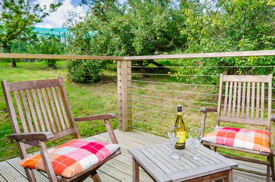 Early evening drinks on the decking in the orchard.