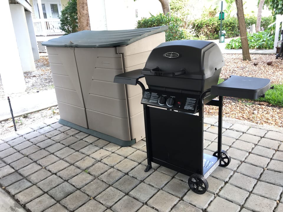 Propane Grill 
Garage storage (grill box, corn hole, hose, kids floats )