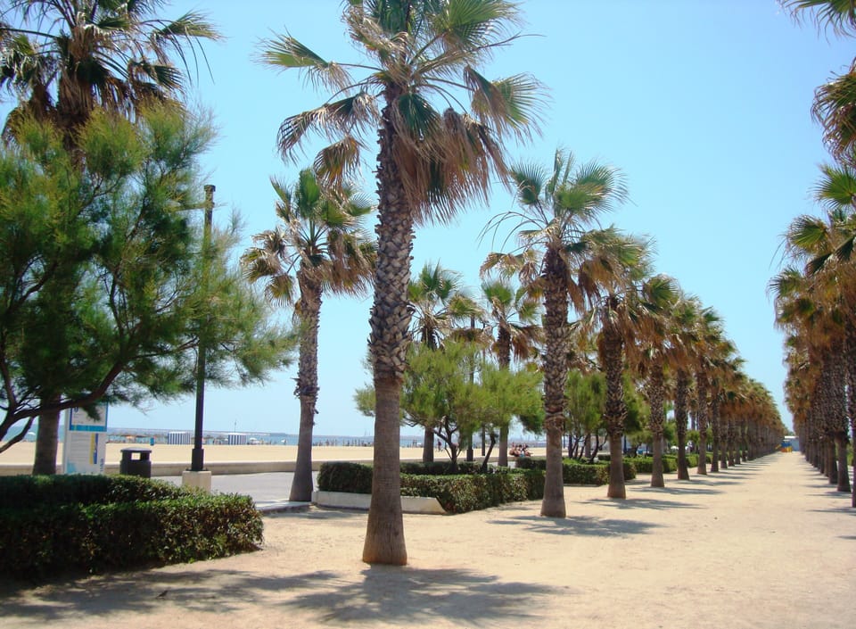 Beach