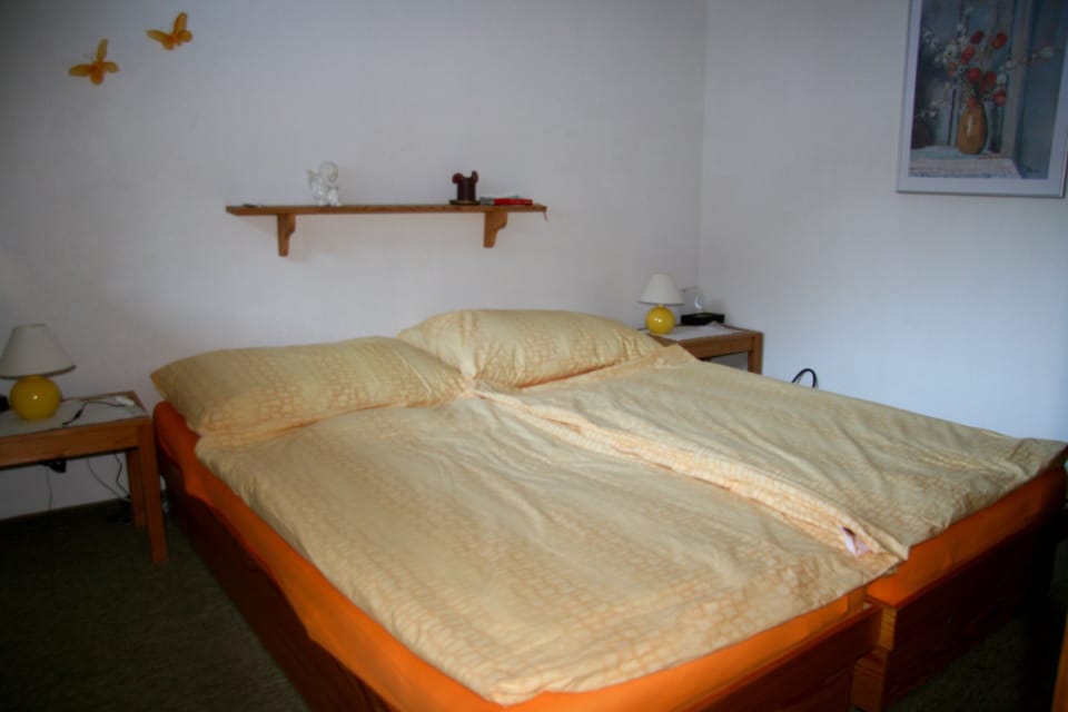 downstairs bedroom