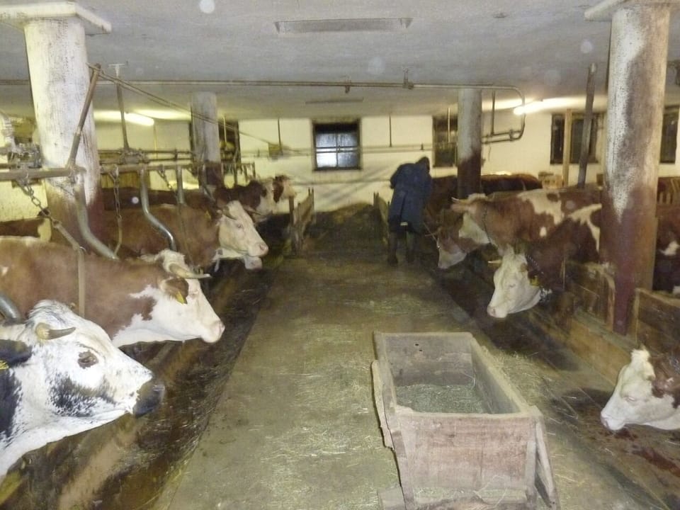 farm located in a quiet, sunny location overlooking the Dolomites Farm Stay in Trentino-South Tyrol