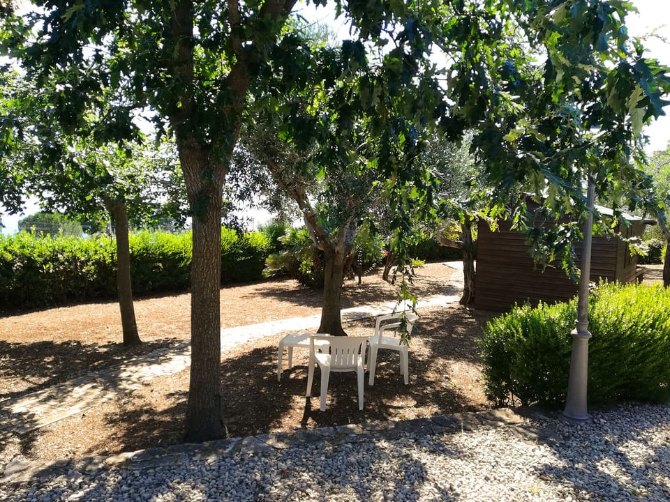 giardino - vista mare