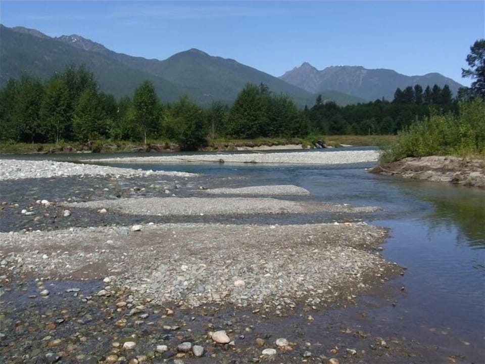 Trout and salmon paradise on the Cascade River (easy walking distance!).