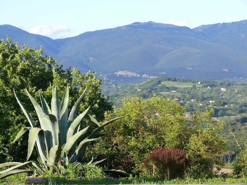 Looking over the garden from the pool towards the village of Casperia