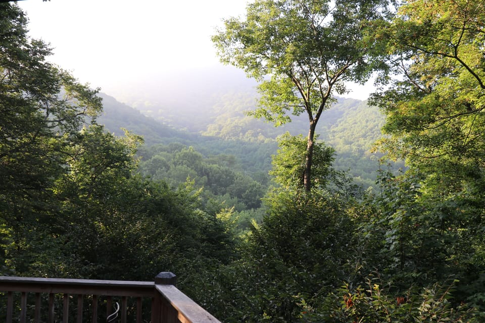 Enjoy your morning hot beverage here on the deck...Do you see any homes?
