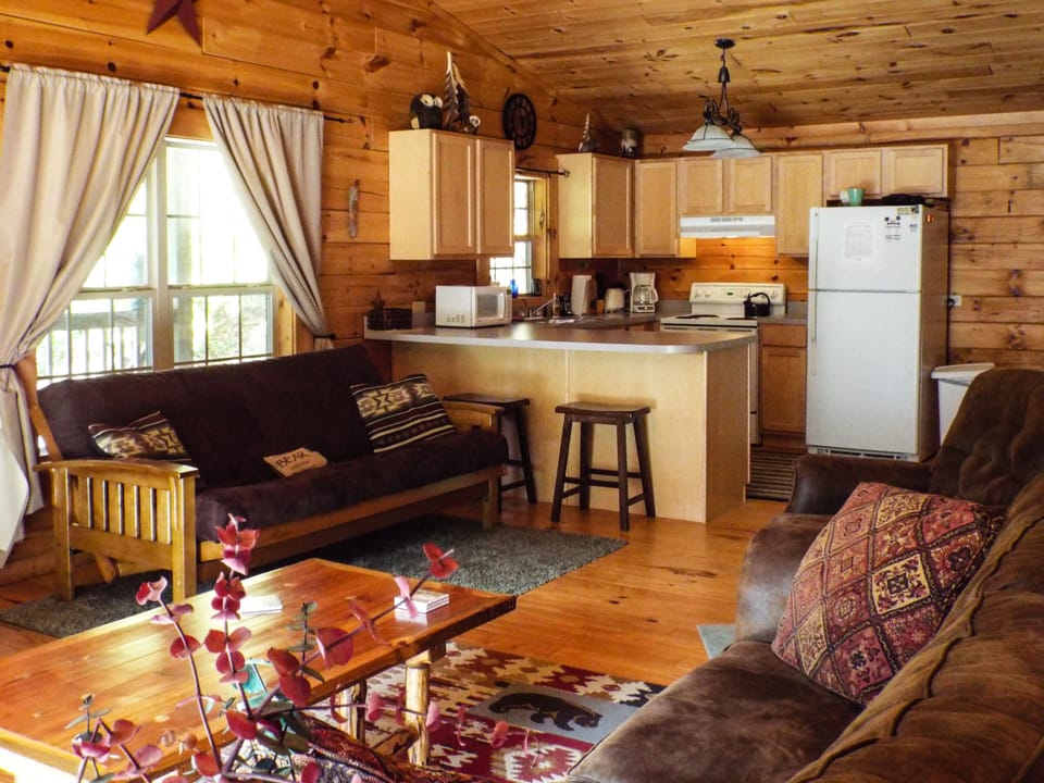 Kitchen from Sleeper sofa