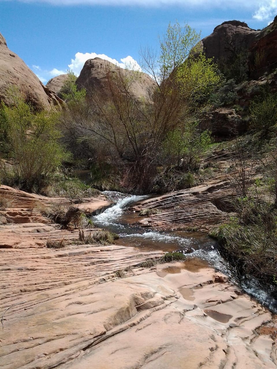 Mill Creek Falls in Moab, UT
