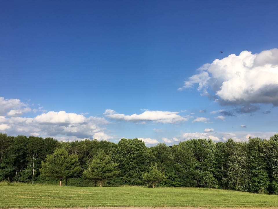 View from Cabin Porch