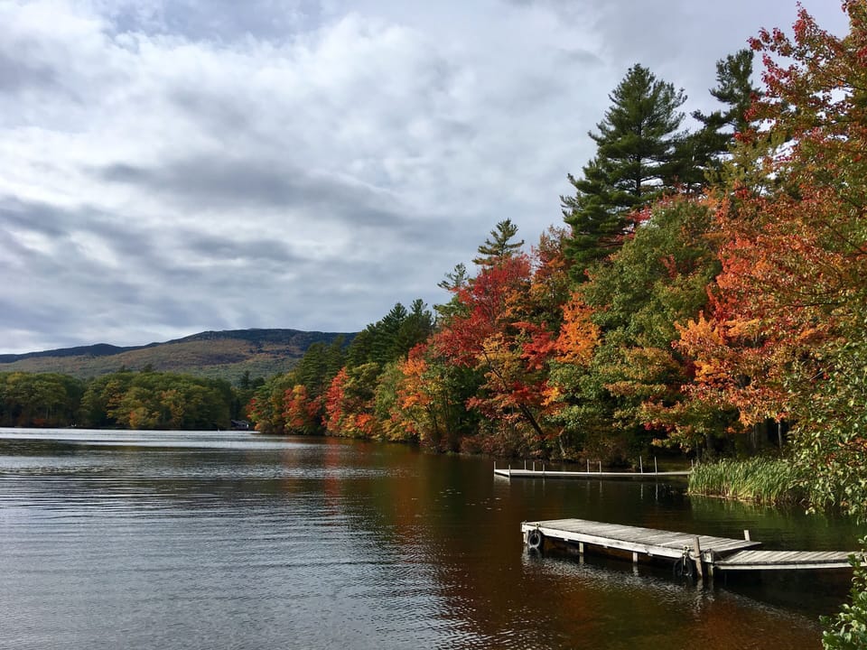 Come for the Fall...