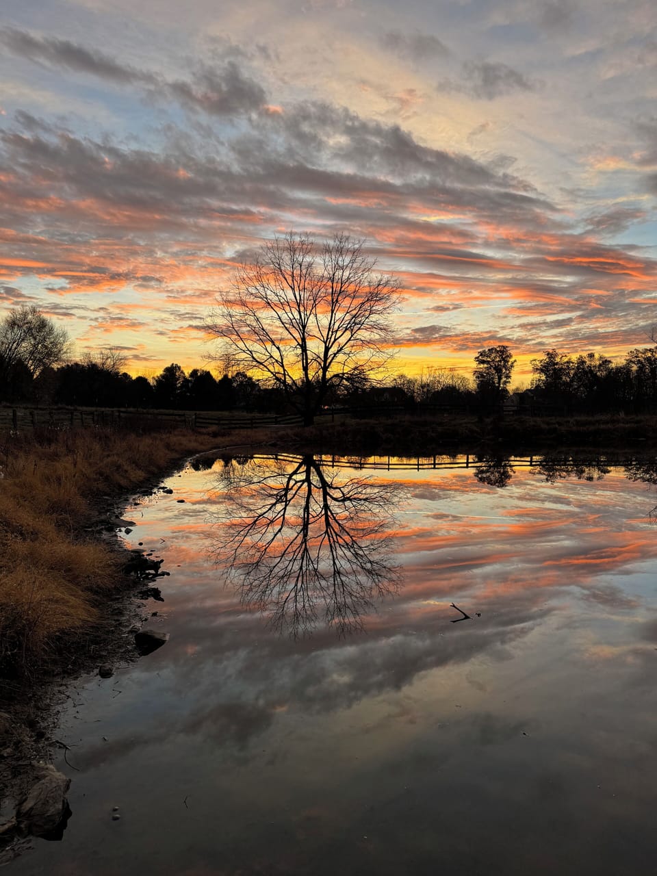 Pond at sunrise