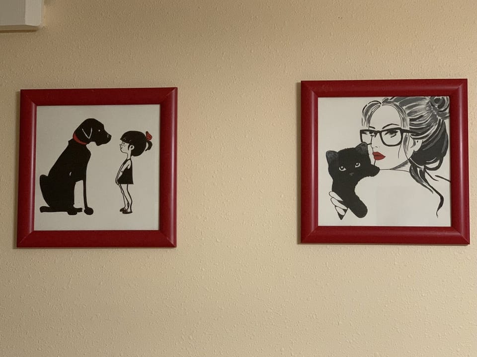 Pets friendly house 