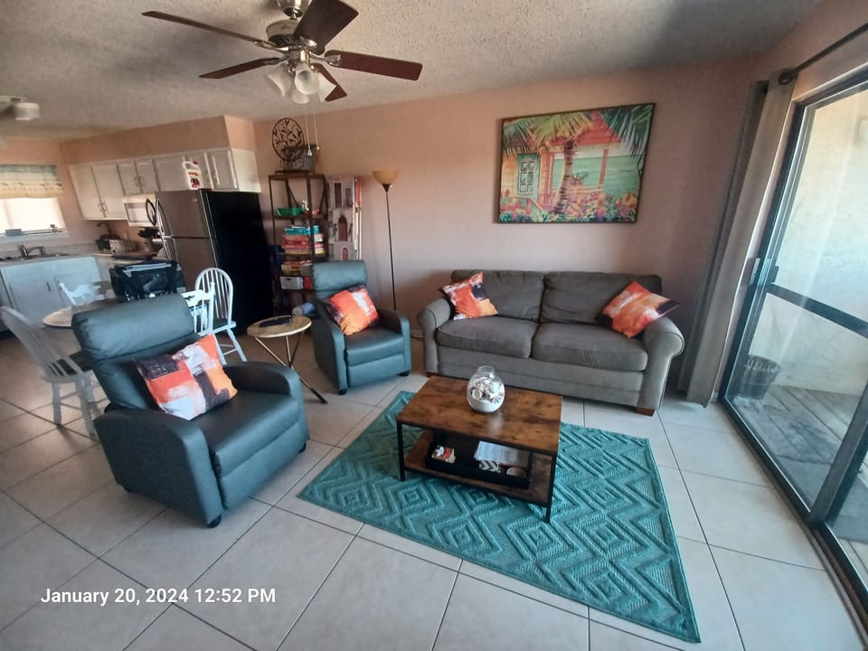 Living room with pull out couch 
