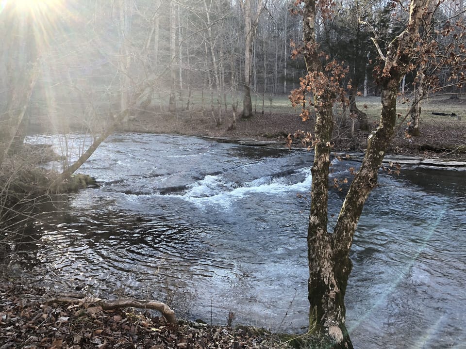 This is the creek that you can walk to from the cottage. It’s a short distance.