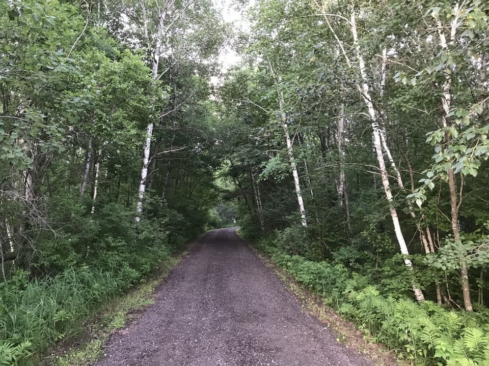 Drive way into property 2 acres