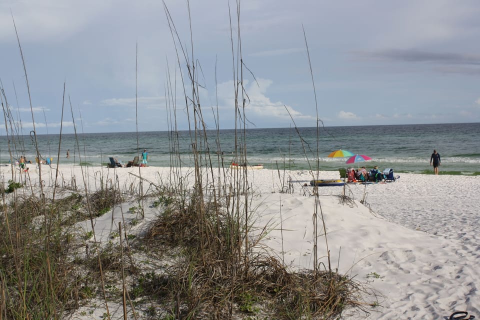 Don't forget your sunscreen! 