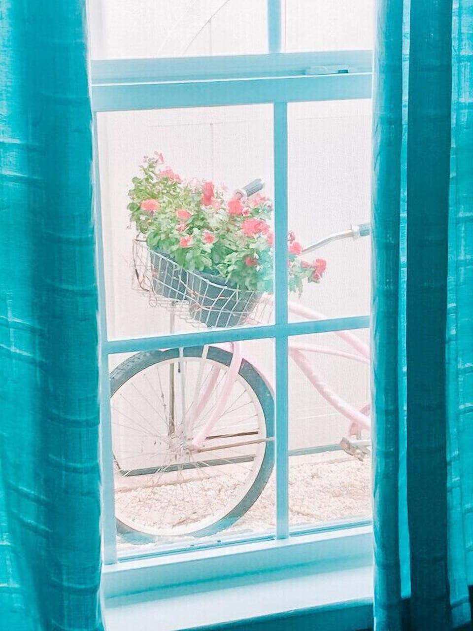 It's the unexpected little things that make for a great experience!