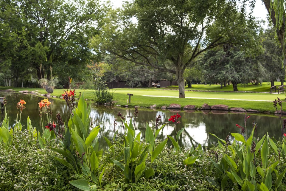 Beautiful grounds where you'll be staying