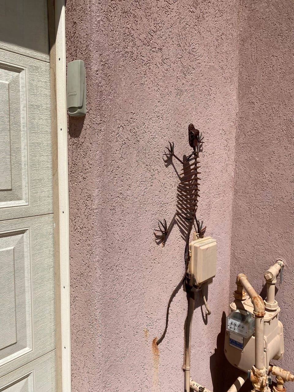 Look for the lizard & use the garage code to enter. Remote opener inside. 