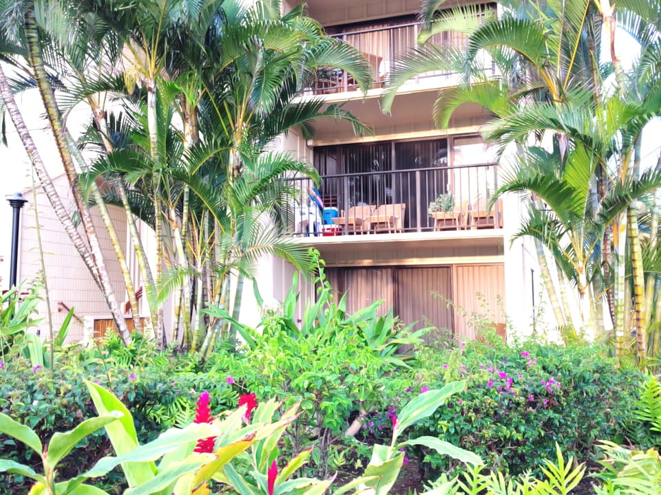 My condo is on the second floor, 10 steps up & that is the lanai & furniture