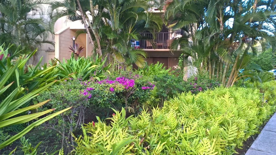 The condo and resort has lovely landscaping this is my entrance