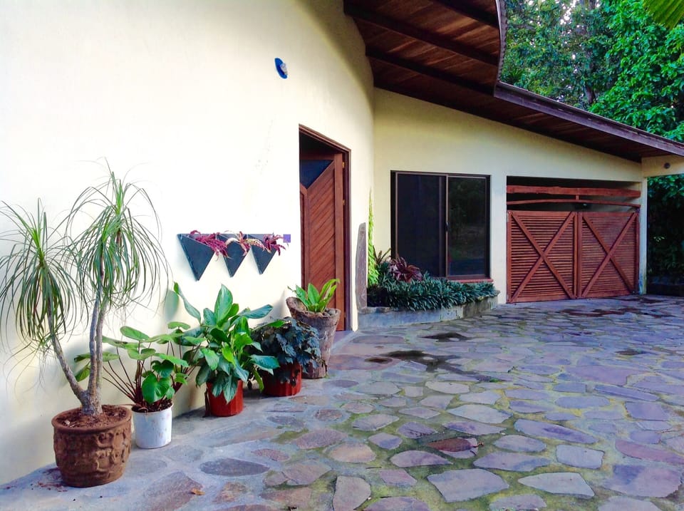 View to the front of the house from the side of the garden.