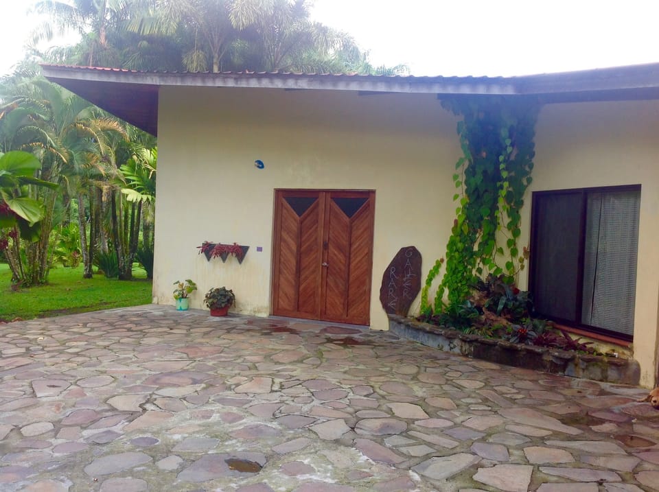 Front of the house view from the gate, parking for three cars.