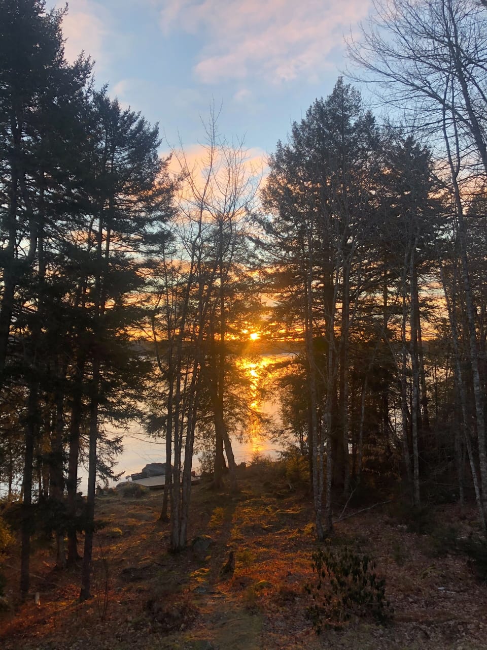 Frozen January sunrise