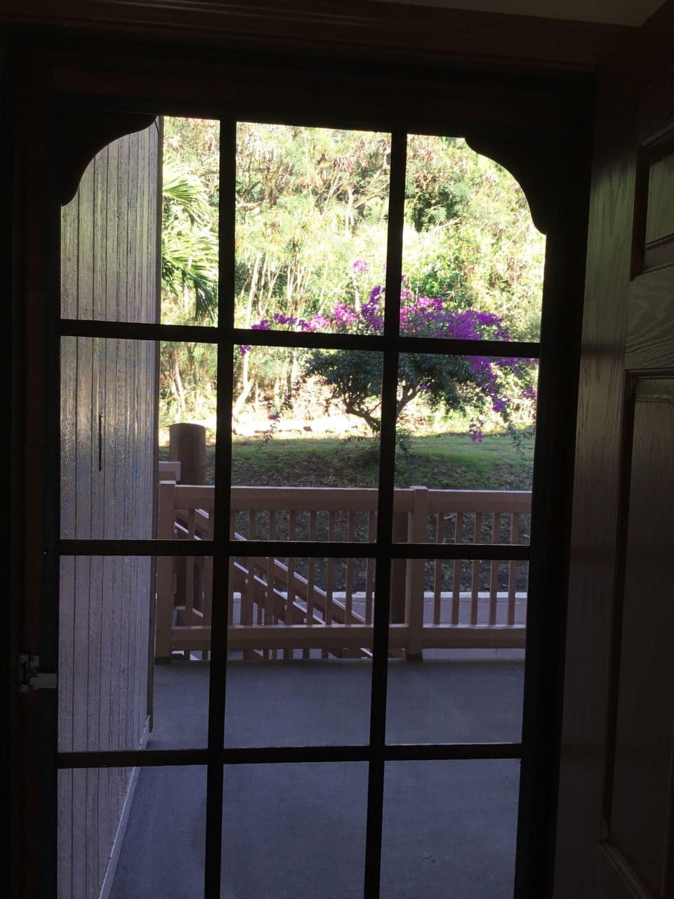 Front door - faces a pretty hillside. Leave screen door open for trade winds.