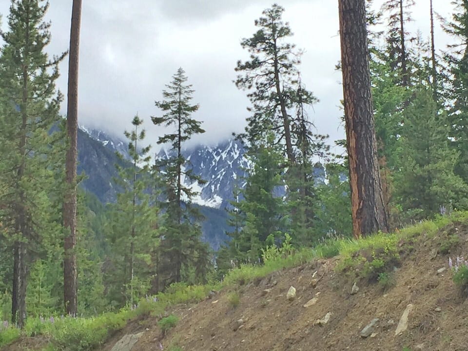 Hike in the nearby woods