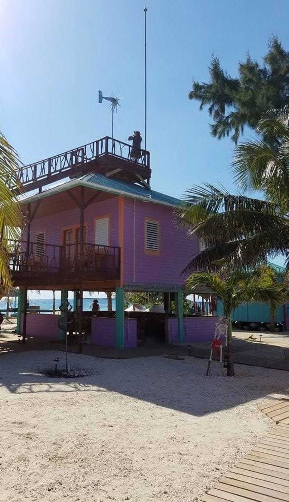 Purple Octopus Suite Northeast View