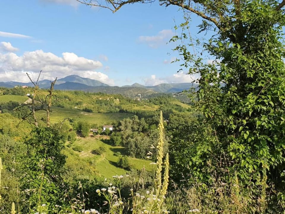Region [summer] (>5 km)