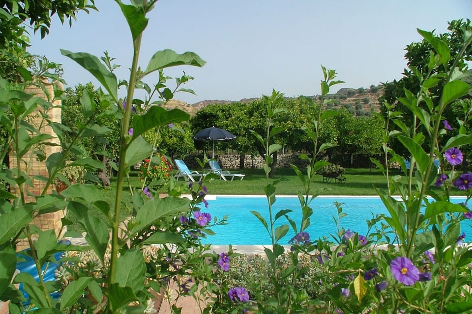 Holiday Home Swimming Pool